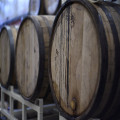 Waarom zijn fermentatieprocessen goed voor je darmen?