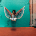 Wat is het verschil tussen spirituele gidsen en beschermengelen?