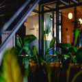 De natuur als inspiratie voor werkplekken? Biophilic design!