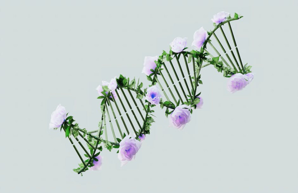Wat betekent 'epigenetica'? Uitleg over deze invloedrijke wetenschap