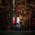 Koga Evia? Dit is jouw fietsmaatje!