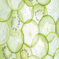 Wat betekent antioxidant en waarom is het belangrijk voor je gezondheid?