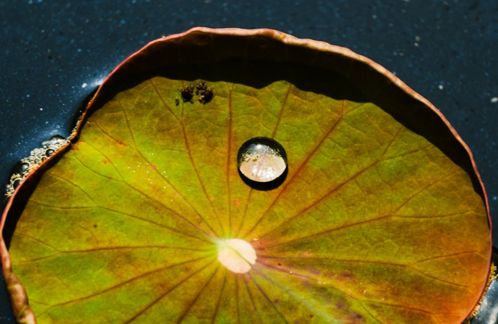 Hoe werkt een waterontharder en wat zijn de voordelen bij hard water
