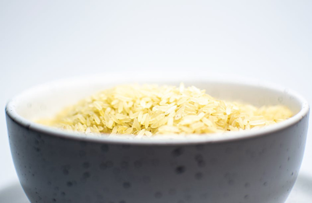 Wat is het precieze verschil tussen prebiotica en probiotica voor je darmgezondheid?