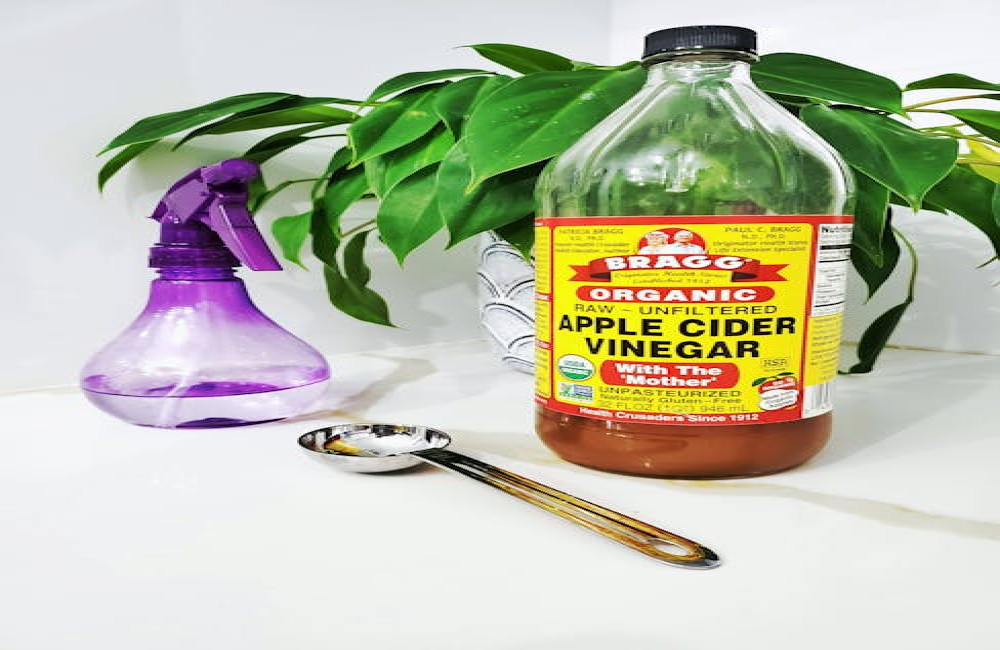 Wat zijn de voordelen van dagelijks appelazijn drinken?