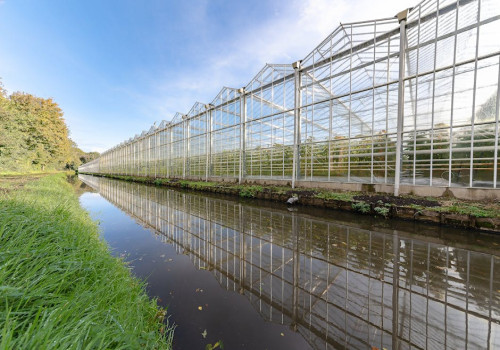 Waarom de juiste luchtcondities in een kweekhok het verschil maken