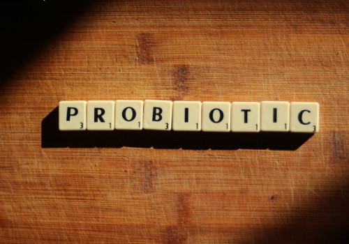 Wat is het verschil tussen prebiotica en probiotica in 2025?